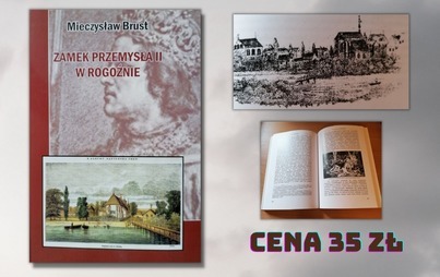 Zdjęcie do Zamek Przemysła II w Rogoźnie