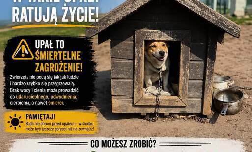 Zdjęcie do Apel WIOZ
